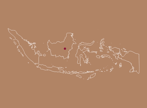 indonesia